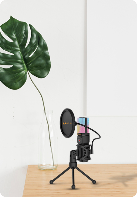 AETHERWAVE Multipurpose Mic